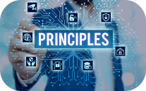 Hand connect different icons creating a virtual network in which a work Principle is highlighted